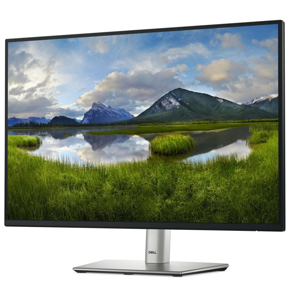 Dell P2425E, 24" WUXGA LED, IPS Anti-Glare, 5ms, 100 Hz, 1500:1, 300 cd/m2, 1920x1200, 99% sRGB, USB-C, 4xUSB 3.2, HDMI, Display Port, VGA, RJ45, PD 90W, Height Adjustable, Pivot, Swivel, Tilt, Black