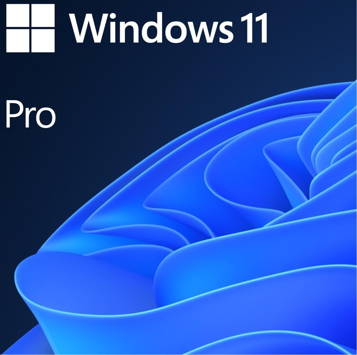 MS 1x Windows 11 Pro GGK 64-битов DVD OEM английски международен (EN)