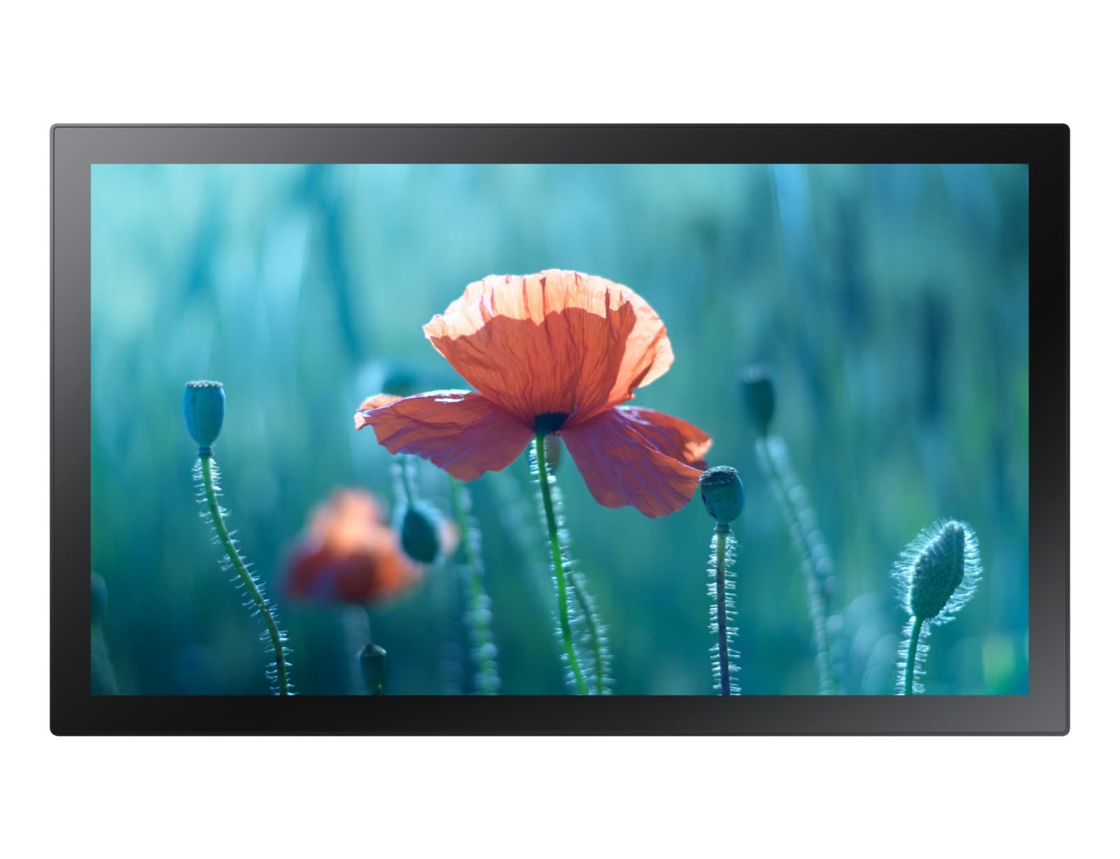 SAMSUNG QB13R-T 13 инча сензорен FHD 16:9 300 нита 16/7 работа черен HDMI RS232 в USB 2.0 Ethernet WiFi SSSP6 Tizen Player