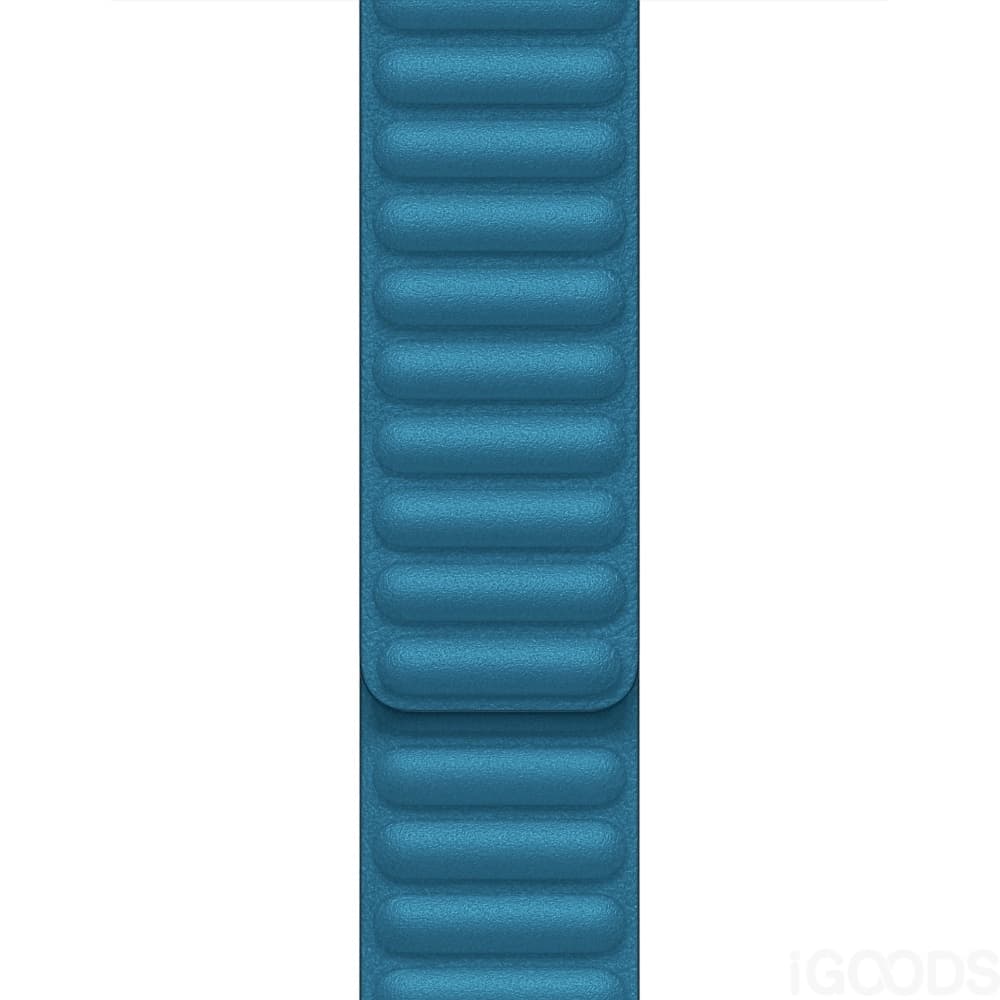 Кожена каишка от естествена кожа за Apple Watch 38мм, 40мм, 41мм - Tactical 730 Leather Loop Band (син)